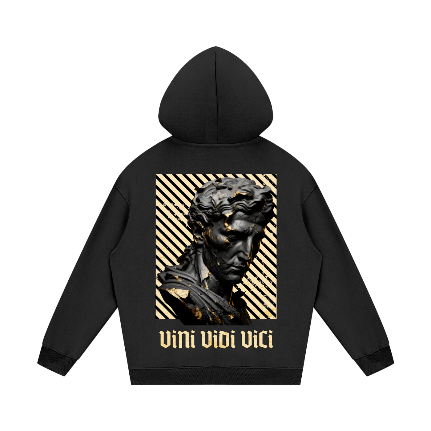 VINI VIDI VICI - Sweat à Capuche Premium Unisexe