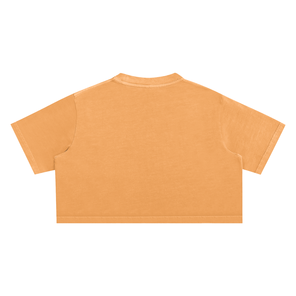 CLASSIC - Snow Washed Crop Top
