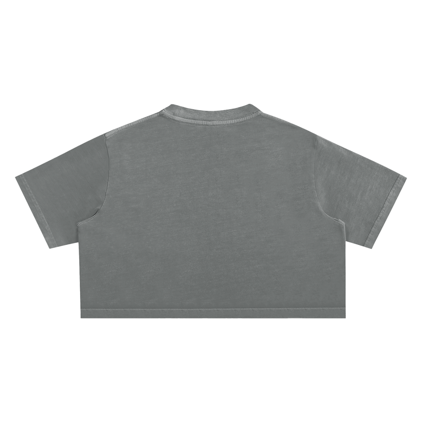 CLASSIC - Snow Washed Crop Top