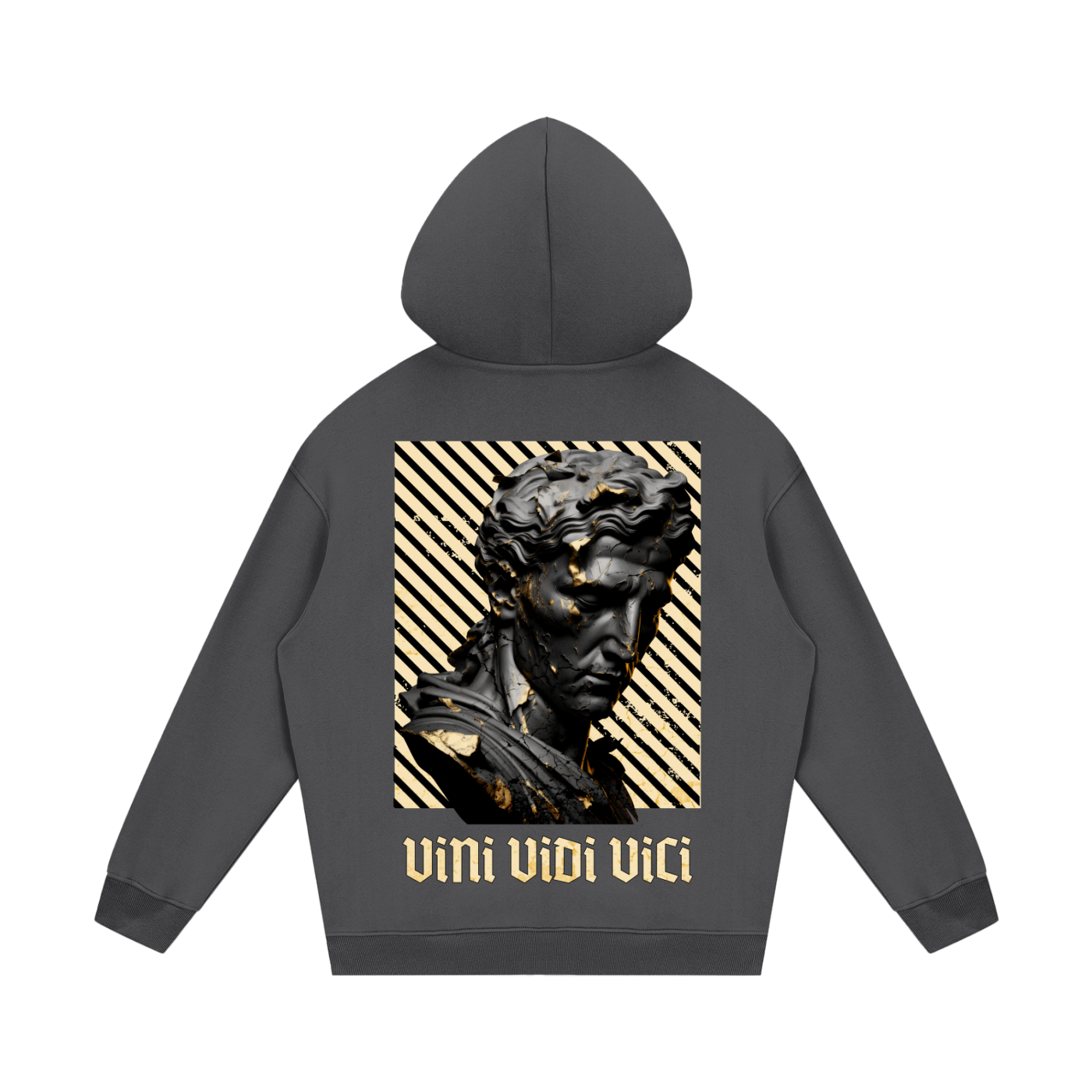 VINI VIDI VICI - Sweat à Capuche Premium Unisexe