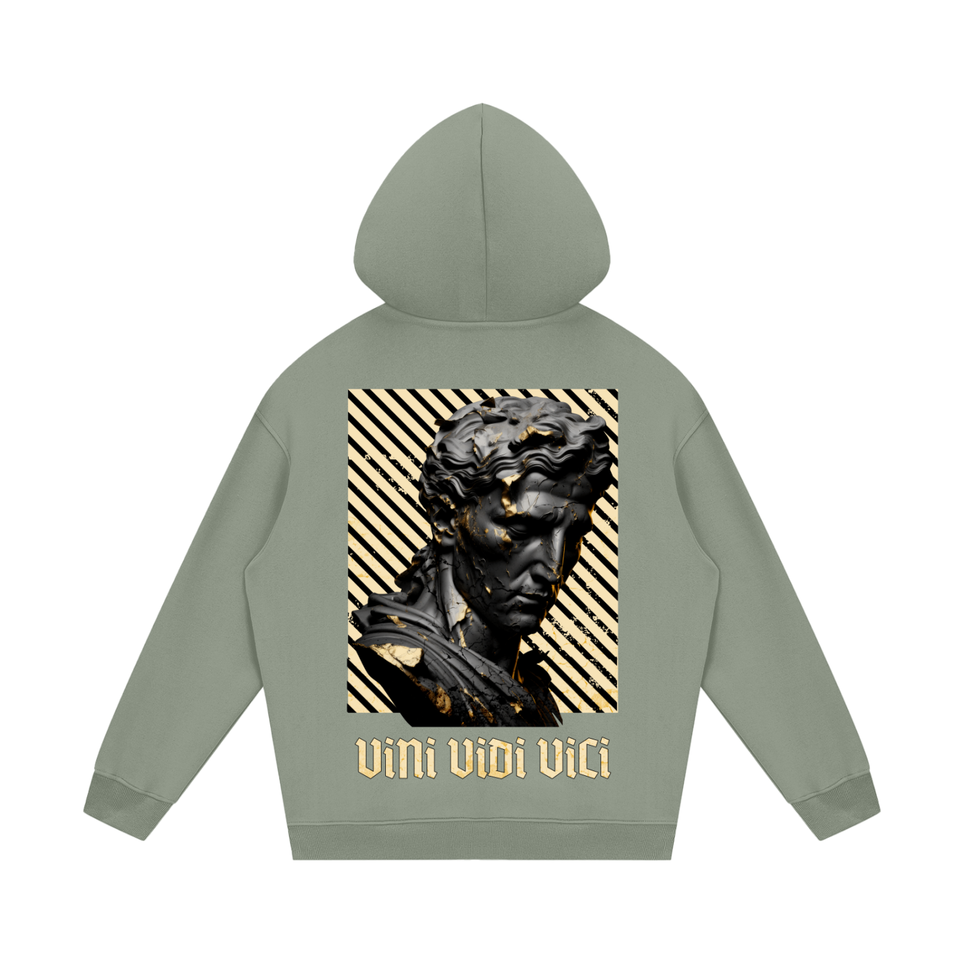 VINI VIDI VICI - Sweat à Capuche Premium Unisexe